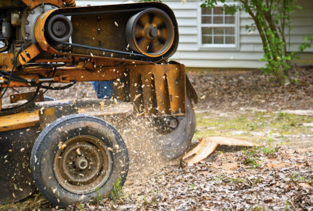 stump removal in north dakota