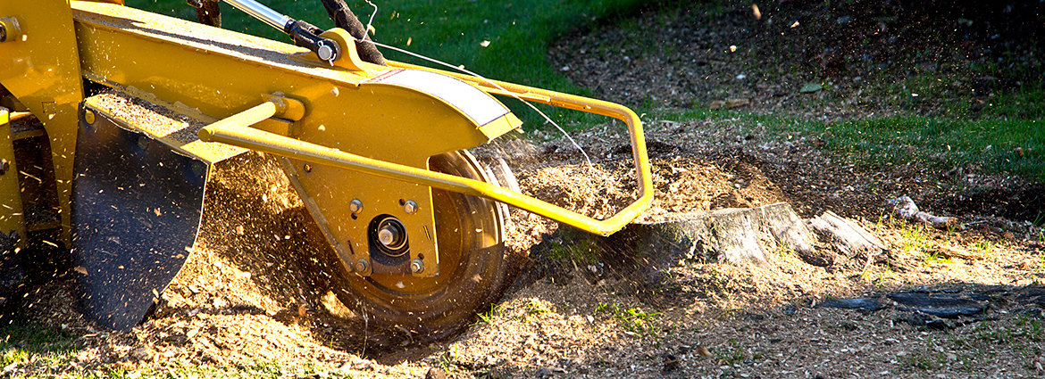 ND Stump Removal